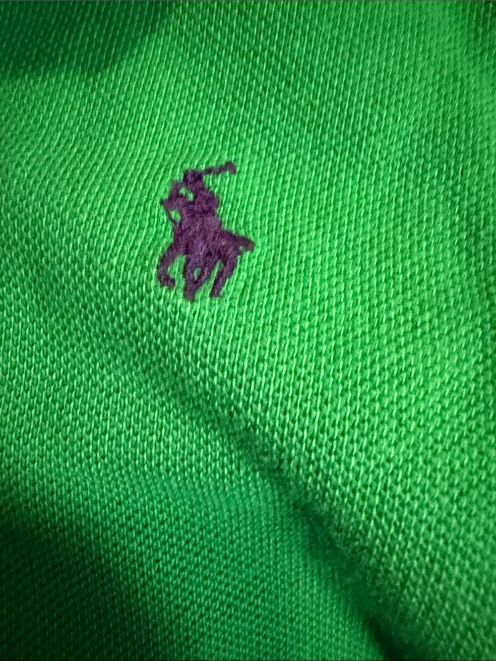 Polo by Ralph Lauren Green Kids Polo with Navy Pony